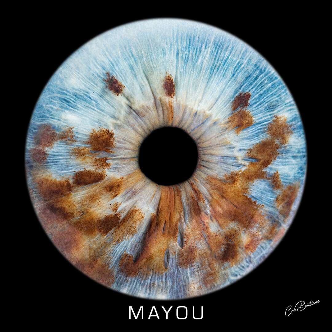 Photographie d'iris en Corrèze