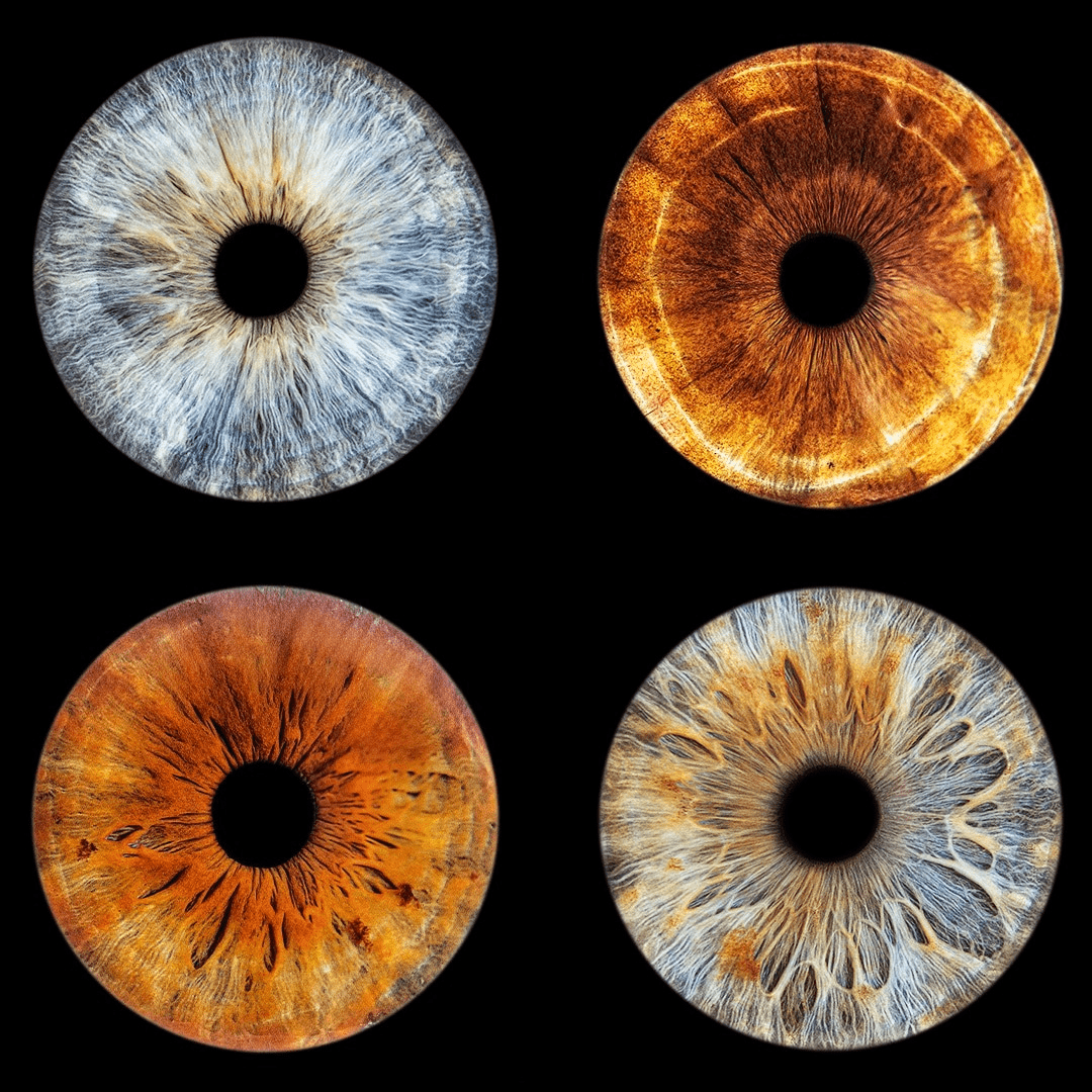 Photographie d'iris de quatre personnes