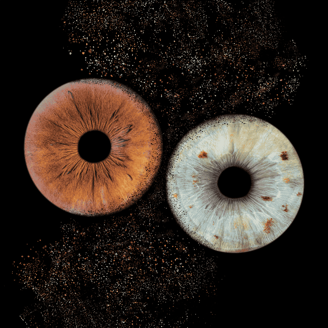 Photographie d'iris de deux personnes