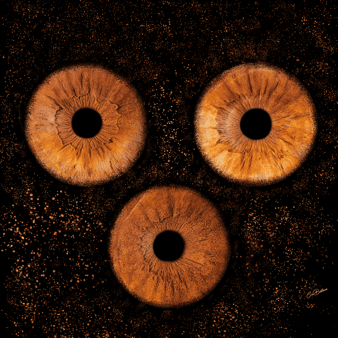 Photographie d'iris de trois personnes