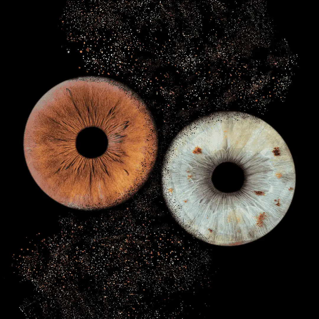Photographie d'iris de deux personnes