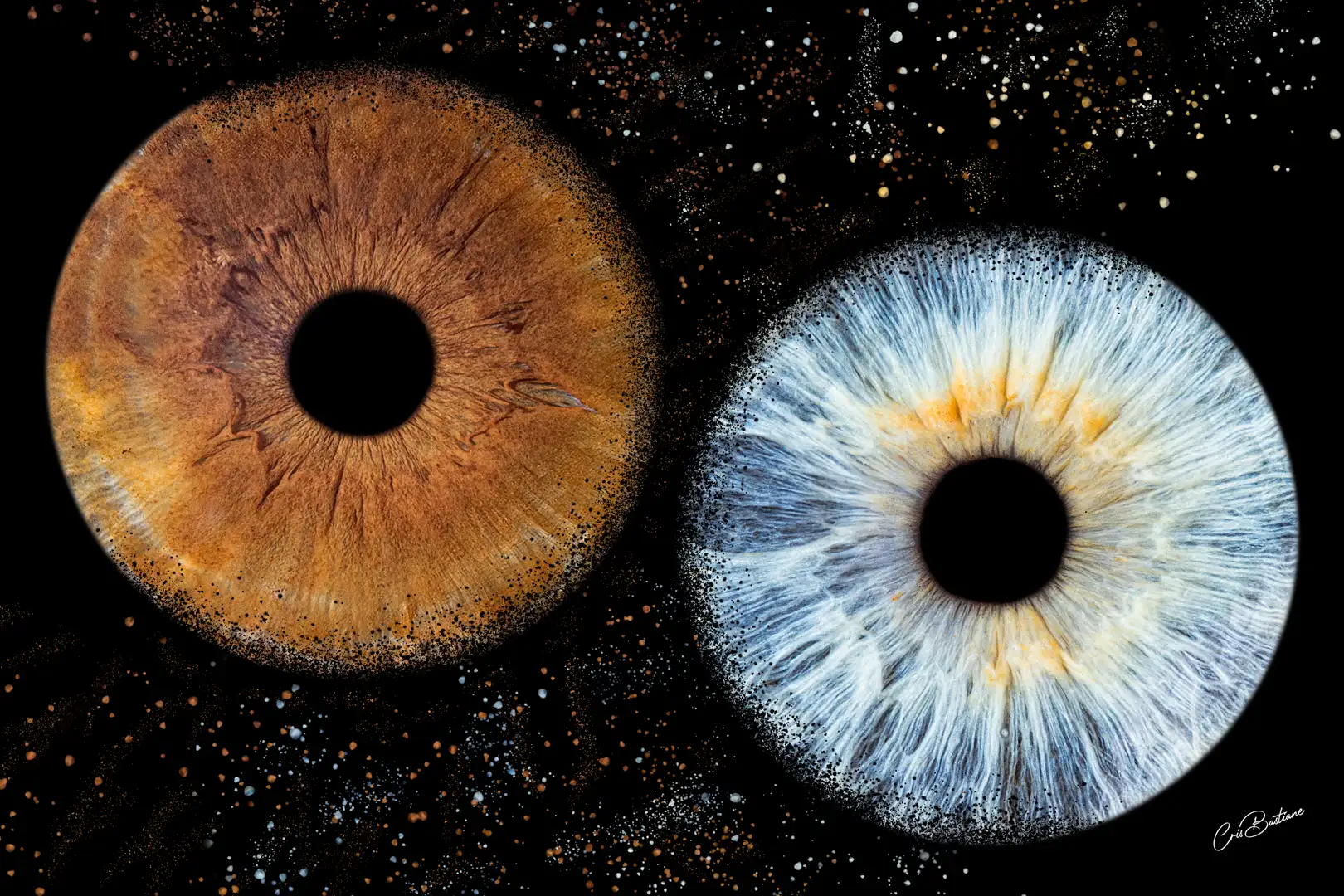Photographie d'iris