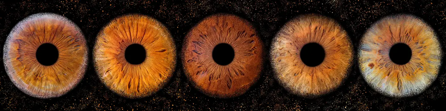 Photographie d'iris de cinq personnes