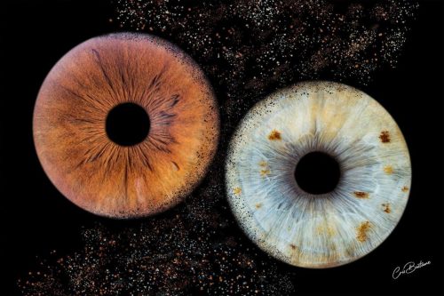 Photographie d'iris de deux personnes