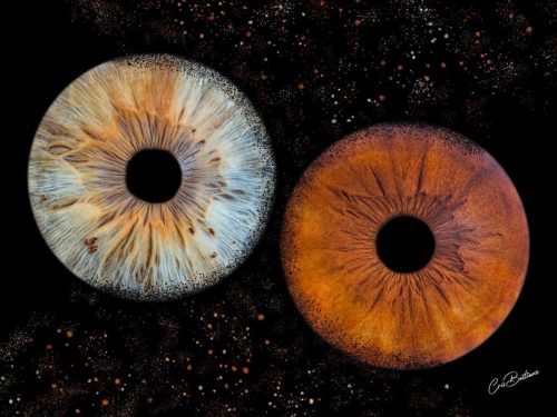 Photographie d'iris de deux personnes
