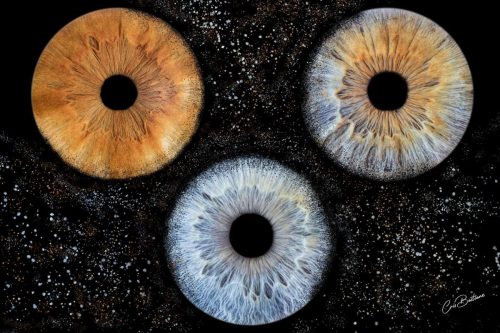 Photographie d'iris de 3 personnes
