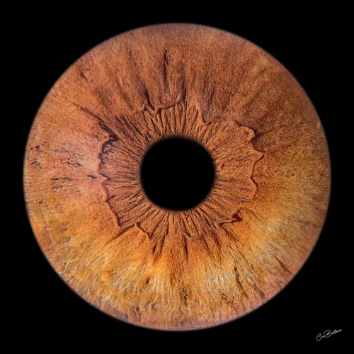 Photographie d'iris d'une personne