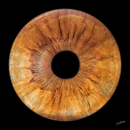 Photographie d'iris d'une personne