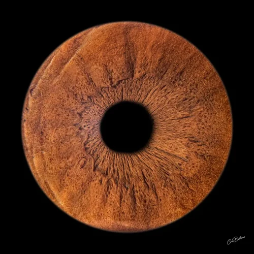 Photographie d'iris d'une personne