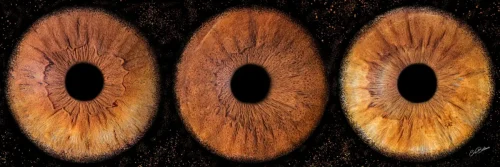Photographie d'iris de trois personnes