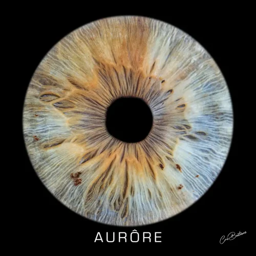 Photographie d'iris d'une personne