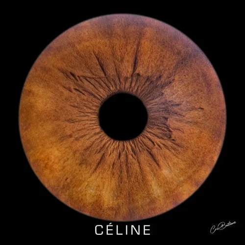Photographie d'iris d'une personne