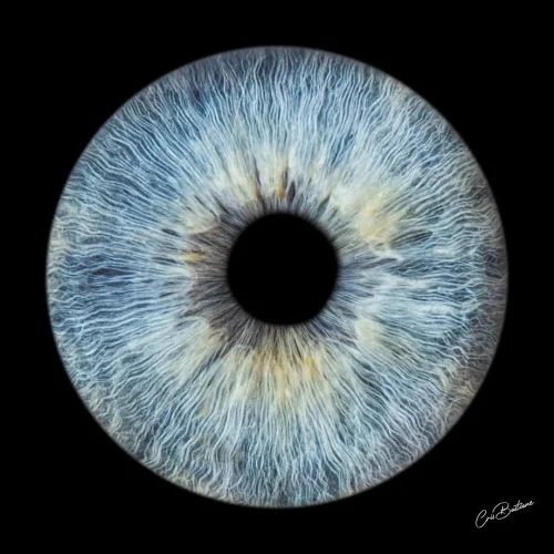 Photographie d'iris d'une personne