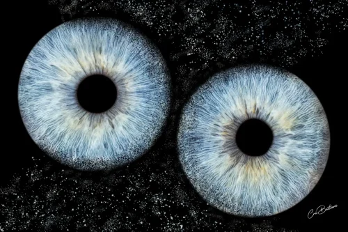 Photographie d'iris de deux personnes