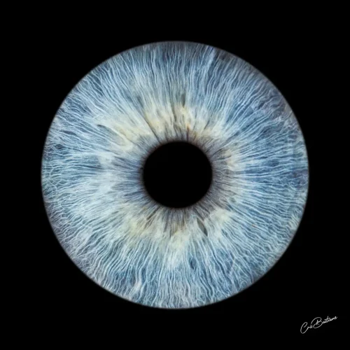 Photographie d'iris d'une personne