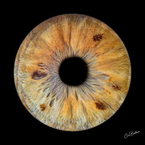 Photographie d'iris d'une personne