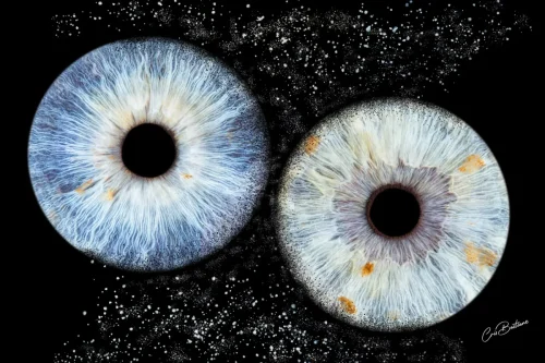 Photographie d'iris de deux personnes