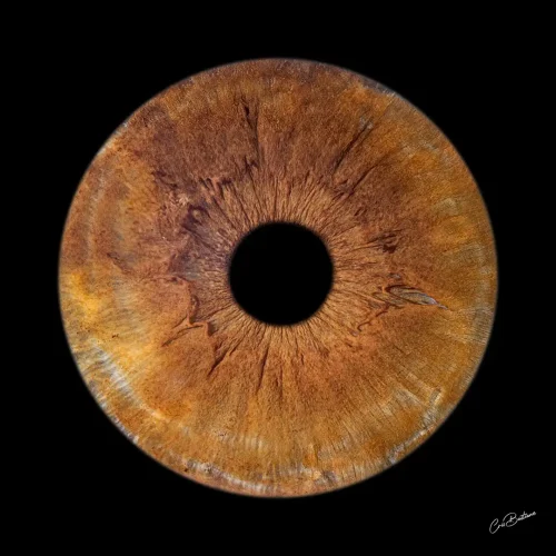 Photographie d'iris d'une personne
