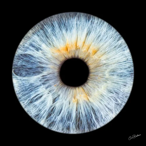 Photographie d'iris d'une personne