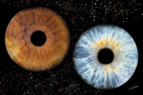 Photographie d'iris de deux personnes