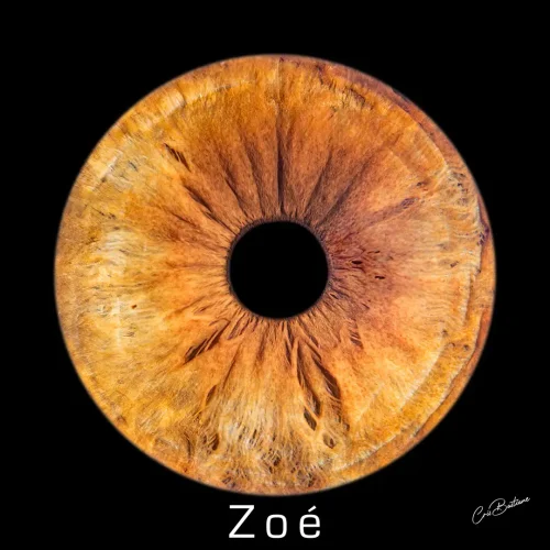 Photographie d'iris d'une personne