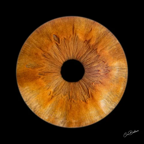 Photographie d'iris d'une personne