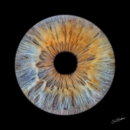 Photographie d'iris d'une personne