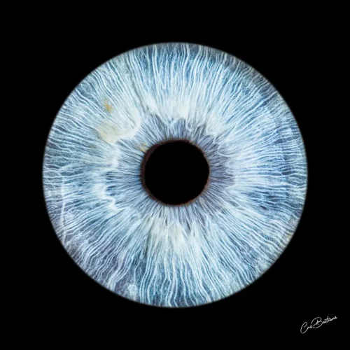 Photographie d'iris d'une personne