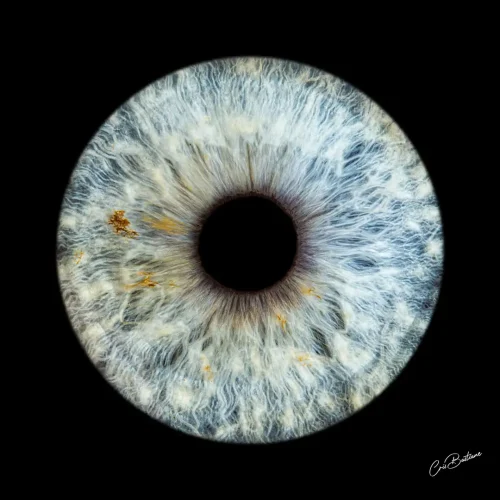 Photographie d'iris d'une personne