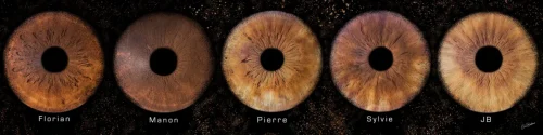 Photographie d'iris de trois personnes